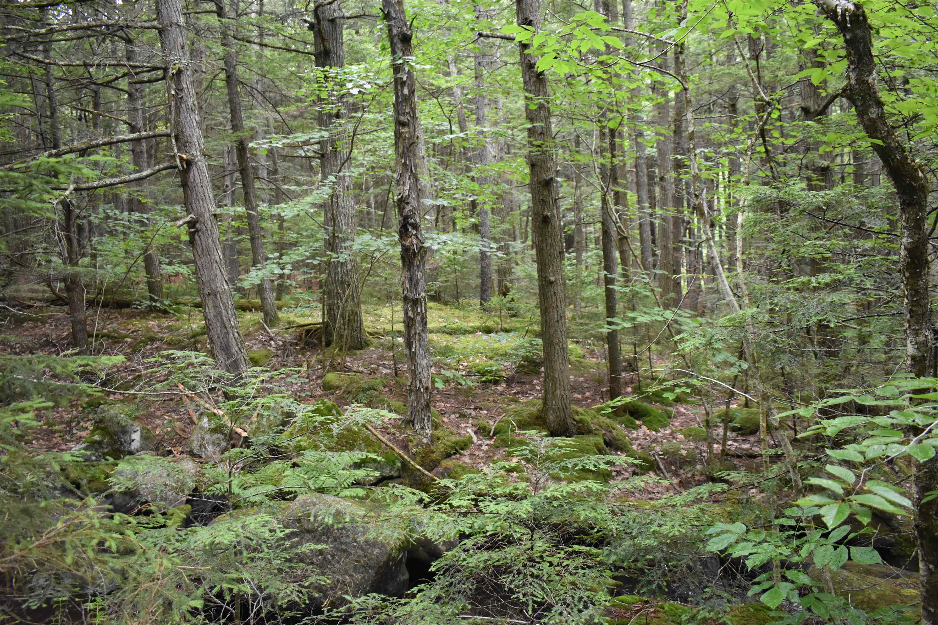 Saunders Hill Road Wentworth, NH 03282 - Photo 14 of 18