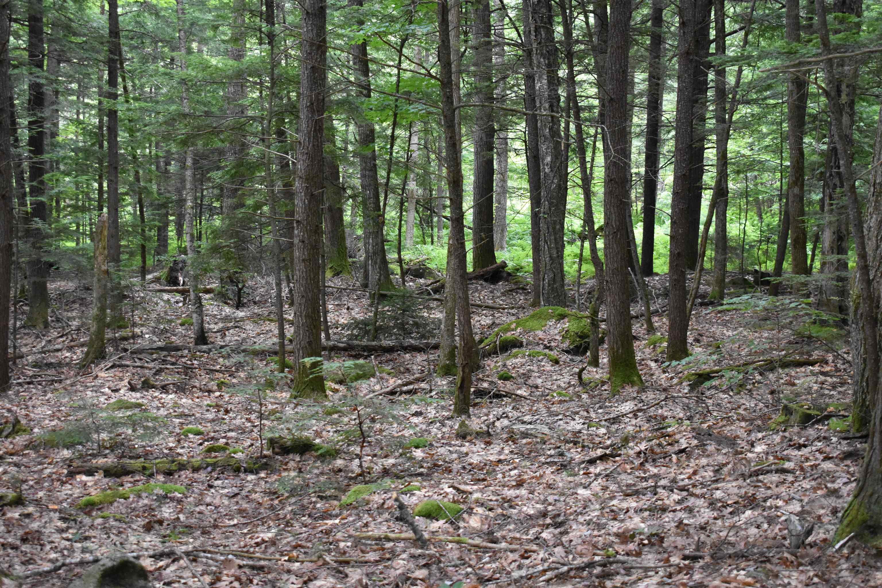 Saunders Hill Road Wentworth, NH 03282 - Photo 17 of 18