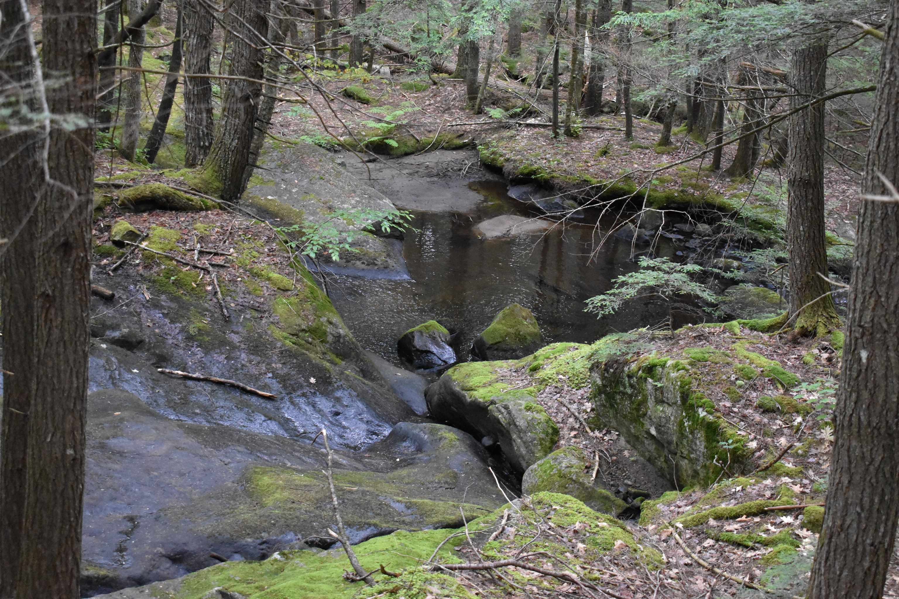 Saunders Hill Road Wentworth, NH 03282 - Photo 3 of 18