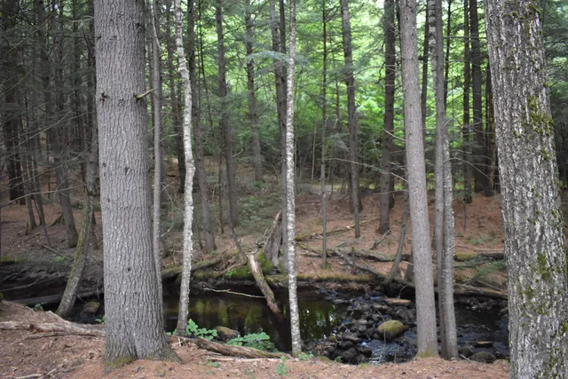 $379,800 | Saunders Hill Road, Wentworth, NH 03282