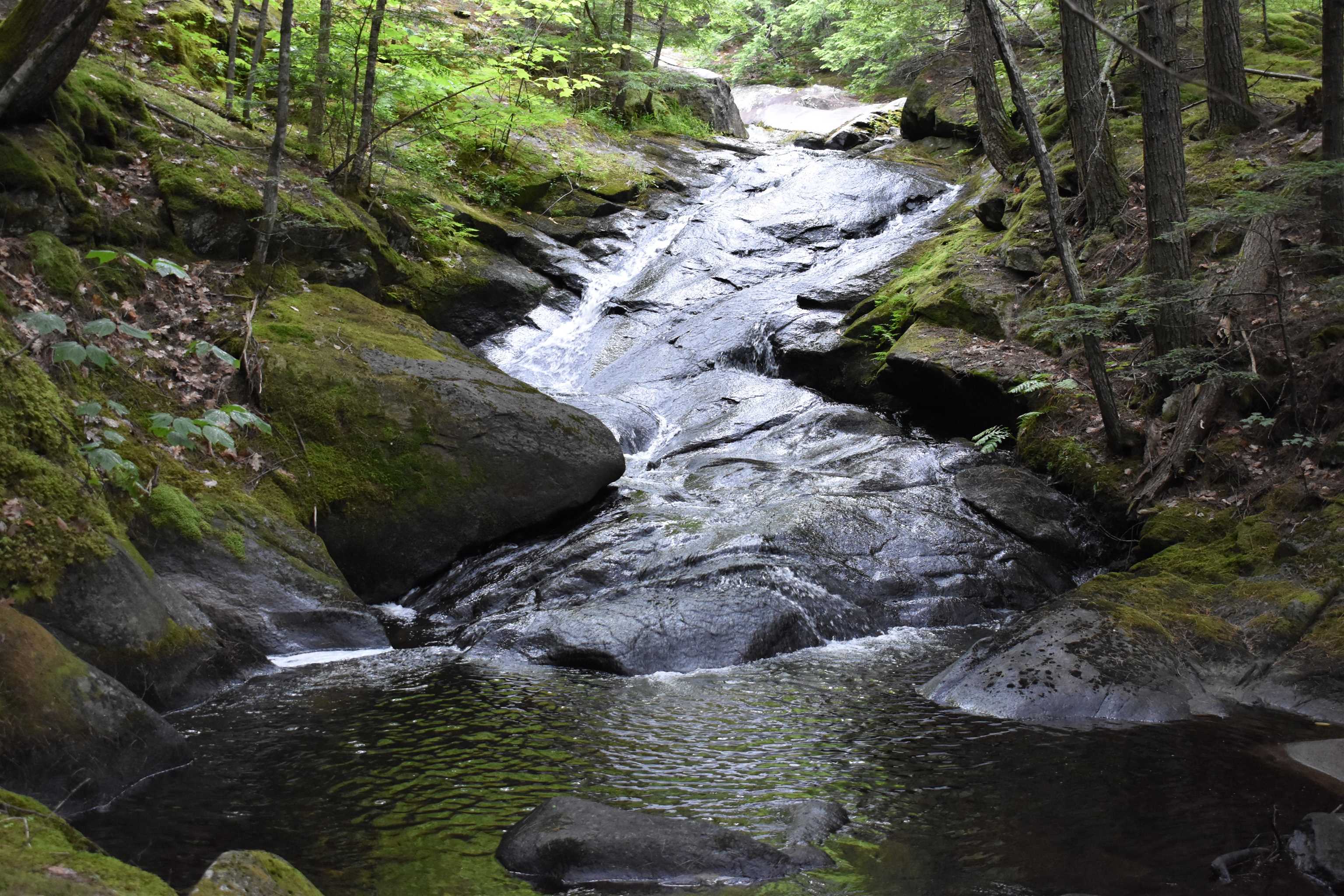 Saunders Hill Road Wentworth, NH 03282 - Photo 6 of 18
