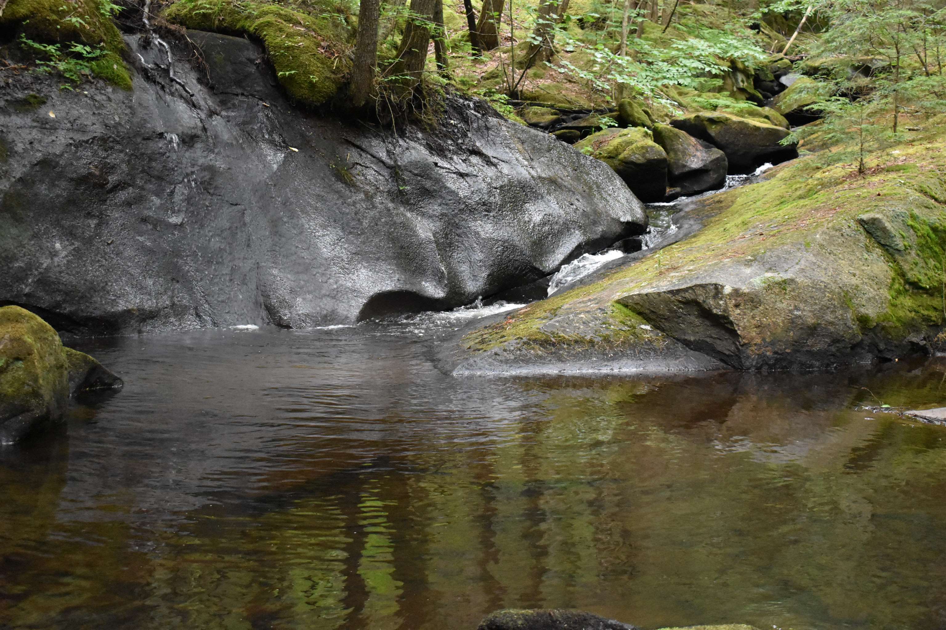 Saunders Hill Road Wentworth, NH 03282 - Photo 7 of 18