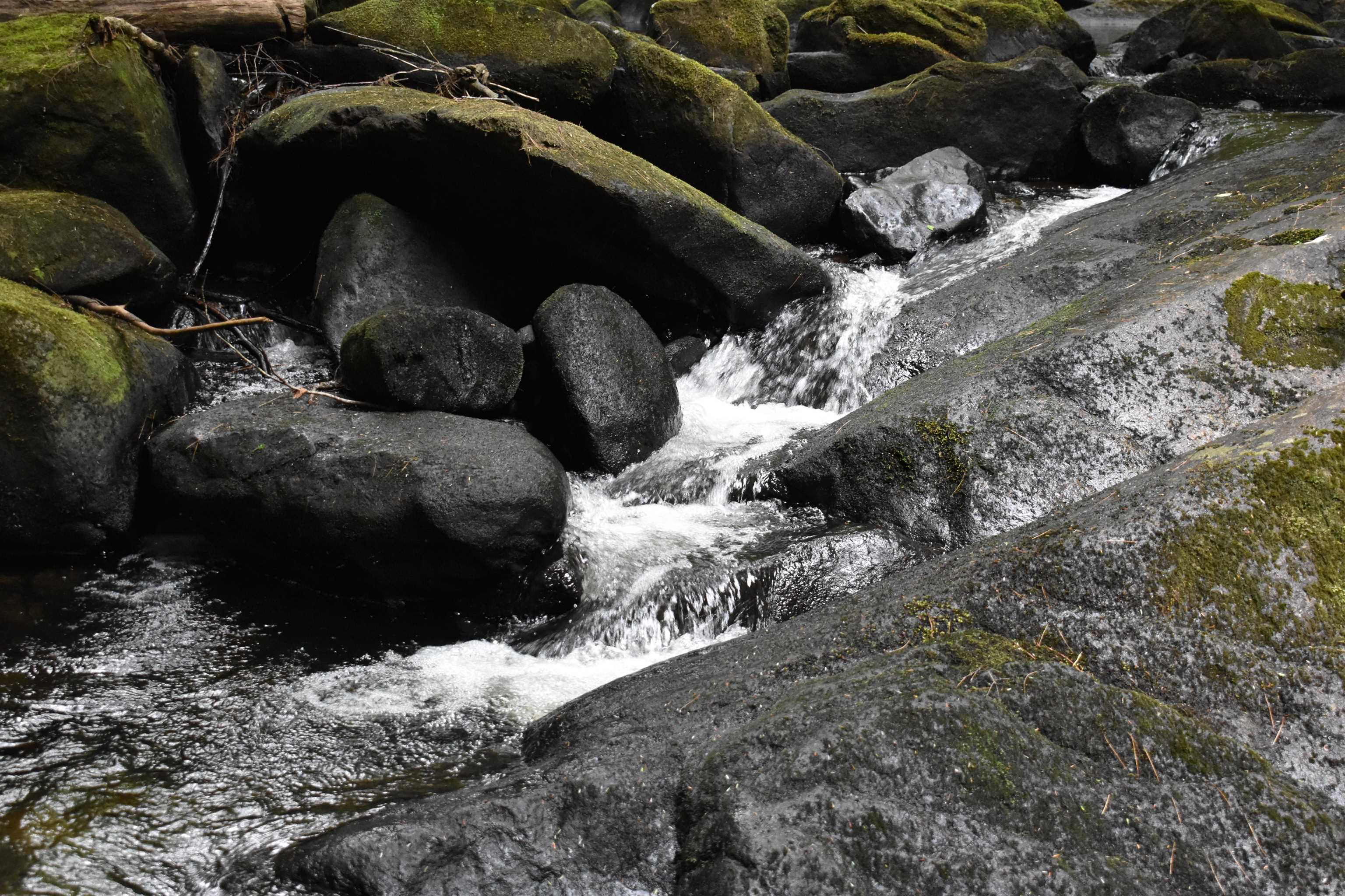 Saunders Hill Road Wentworth, NH 03282 - Photo 8 of 18