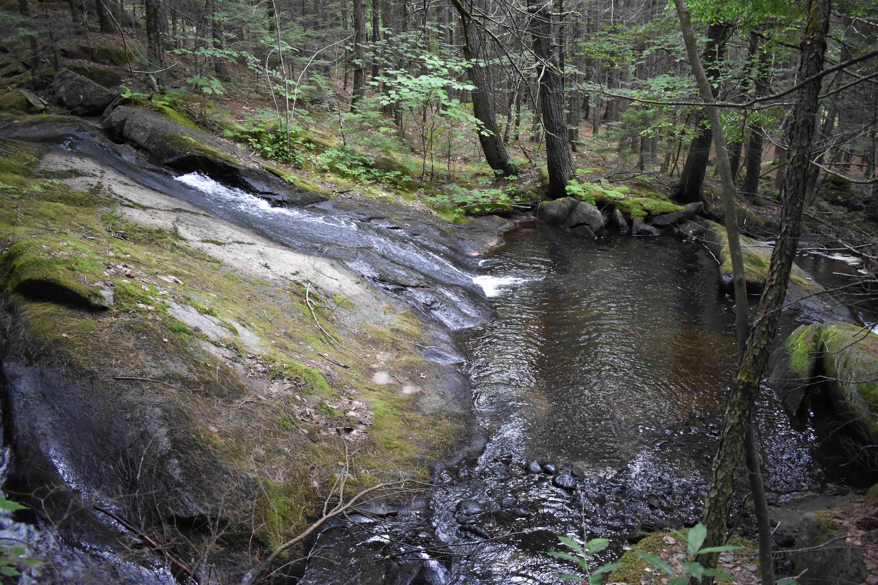 Saunders Hill Road Wentworth, NH 03282 - Photo 10 of 18