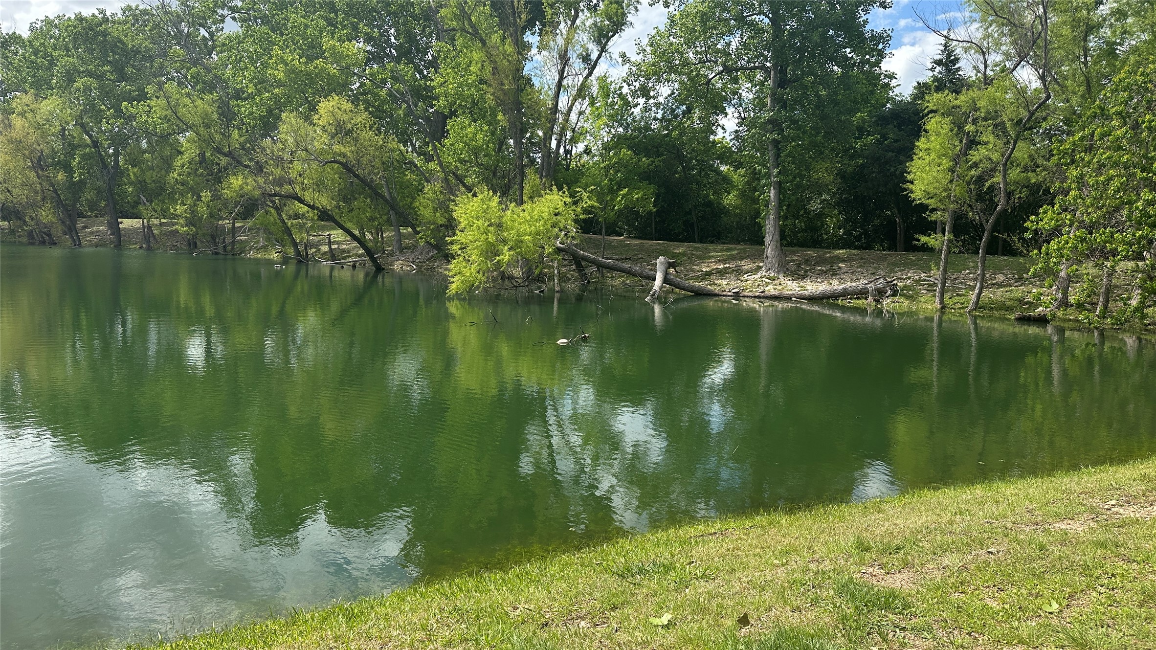 418 High Tech Drive Georgetown, TX 78626 - Photo 33 of 34 Community Pond