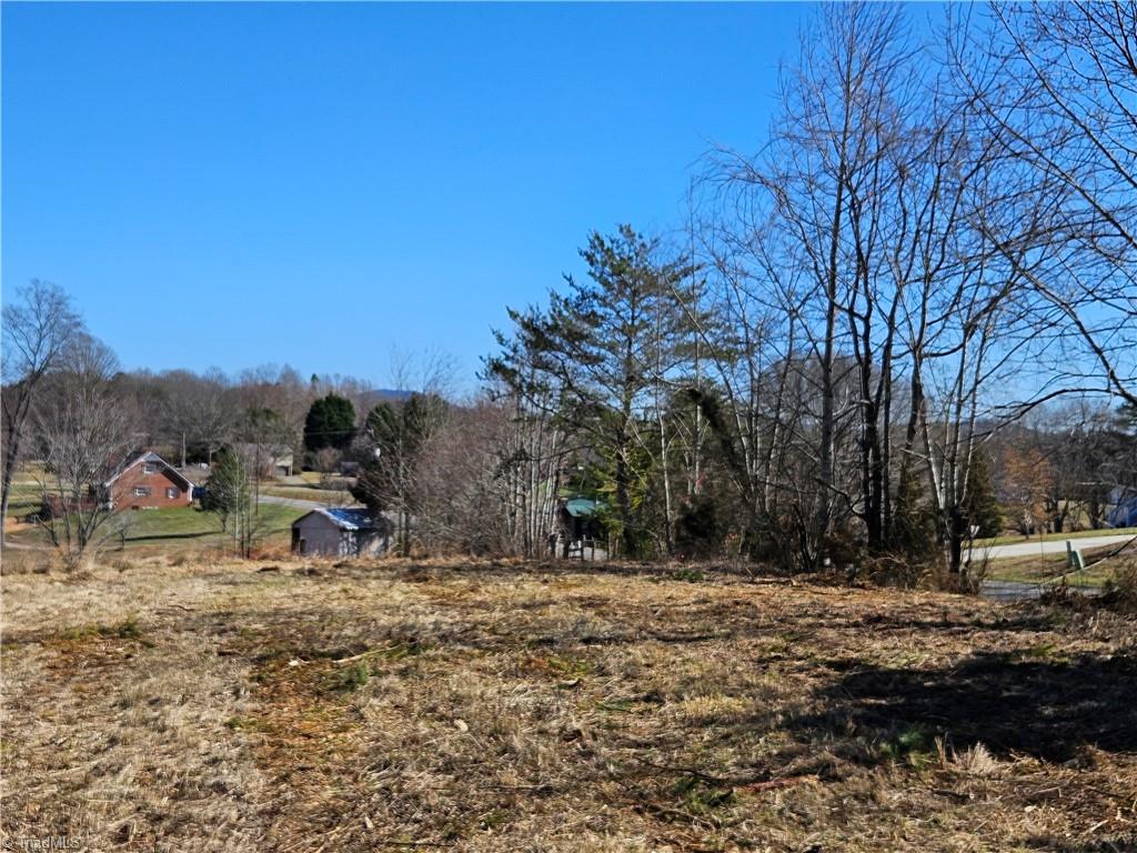 0 Whitaker Chapel Road, Unit 3 Pilot Mountain, NC 27041 - Photo 11 of 11 Gallery Image 11