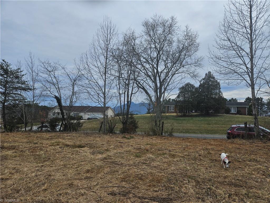0 Whitaker Chapel Road, Unit 3 Pilot Mountain, NC 27041 - Photo 2 of 11 Gallery Image 2