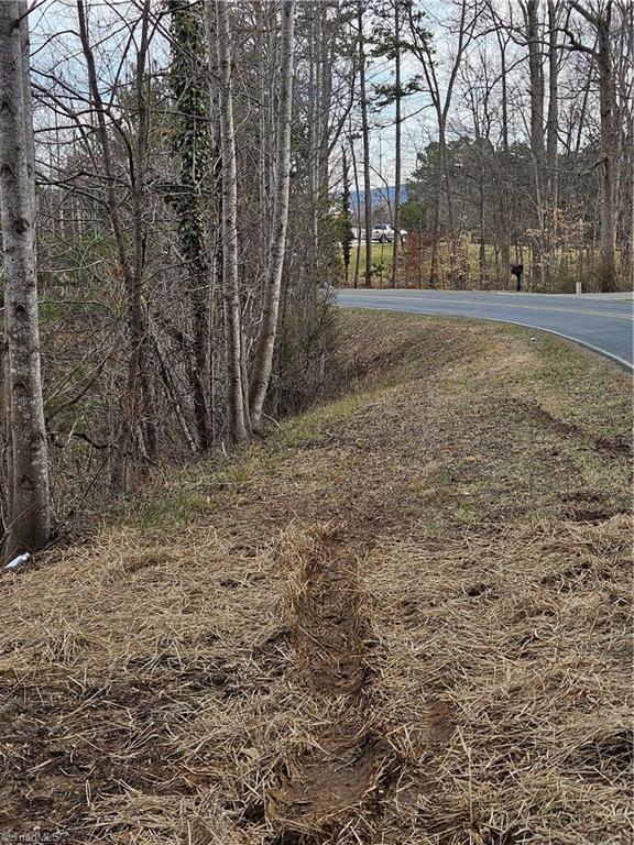0 Whitaker Chapel Road, Unit 3 Pilot Mountain, NC 27041 - Photo 4 of 11 Gallery Image 4