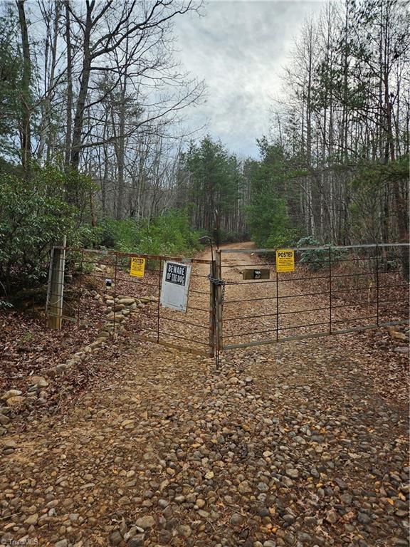 0 Whitaker Chapel Road, Unit 3 Pilot Mountain, NC 27041 - Photo 5 of 11 Gallery Image 5