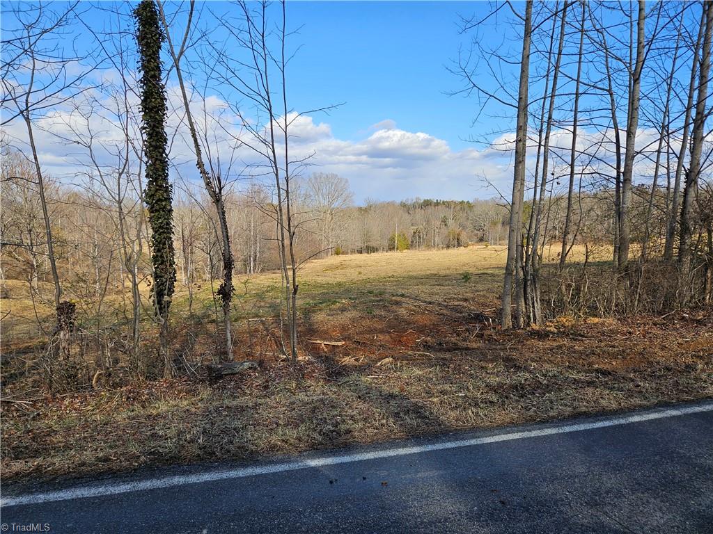 0 Whitaker Chapel Road, Unit 3 Pilot Mountain, NC 27041 - Photo 7 of 11 Gallery Image 7