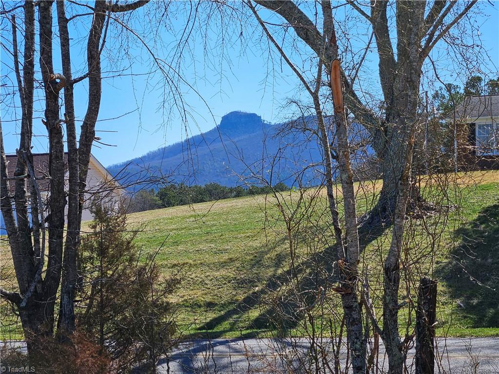 0 Whitaker Chapel Road, Unit 3 Pilot Mountain, NC 27041 - Photo 8 of 11 Gallery Image 8