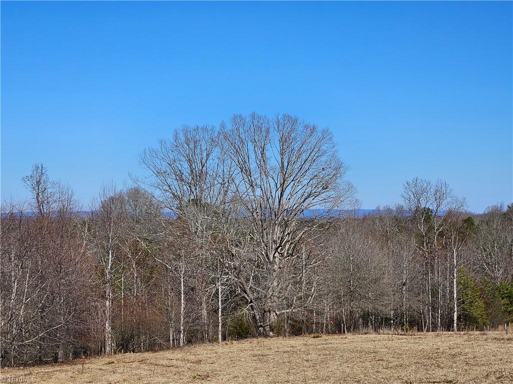 0 Whitaker Chapel Road, Unit 3 Pilot Mountain, NC 27041 - Photo 9 of 11 Gallery Image 9