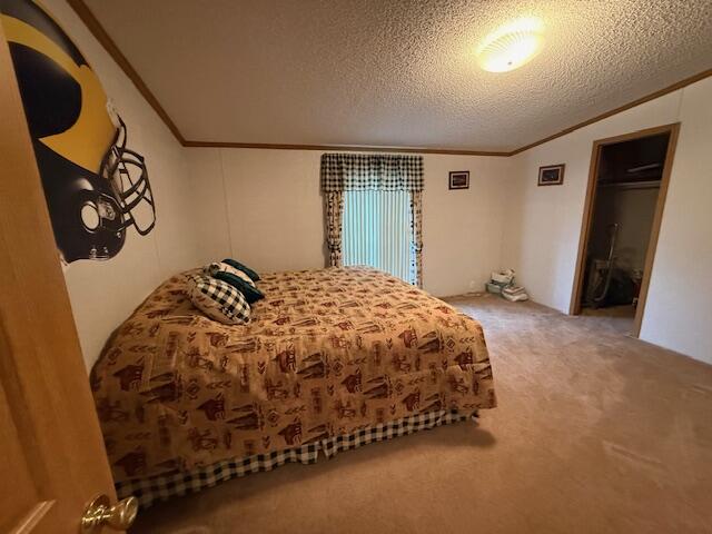 687 North Frank Smith Road Luther, MI 49656 - Photo 27 of 42 IMG_5766
