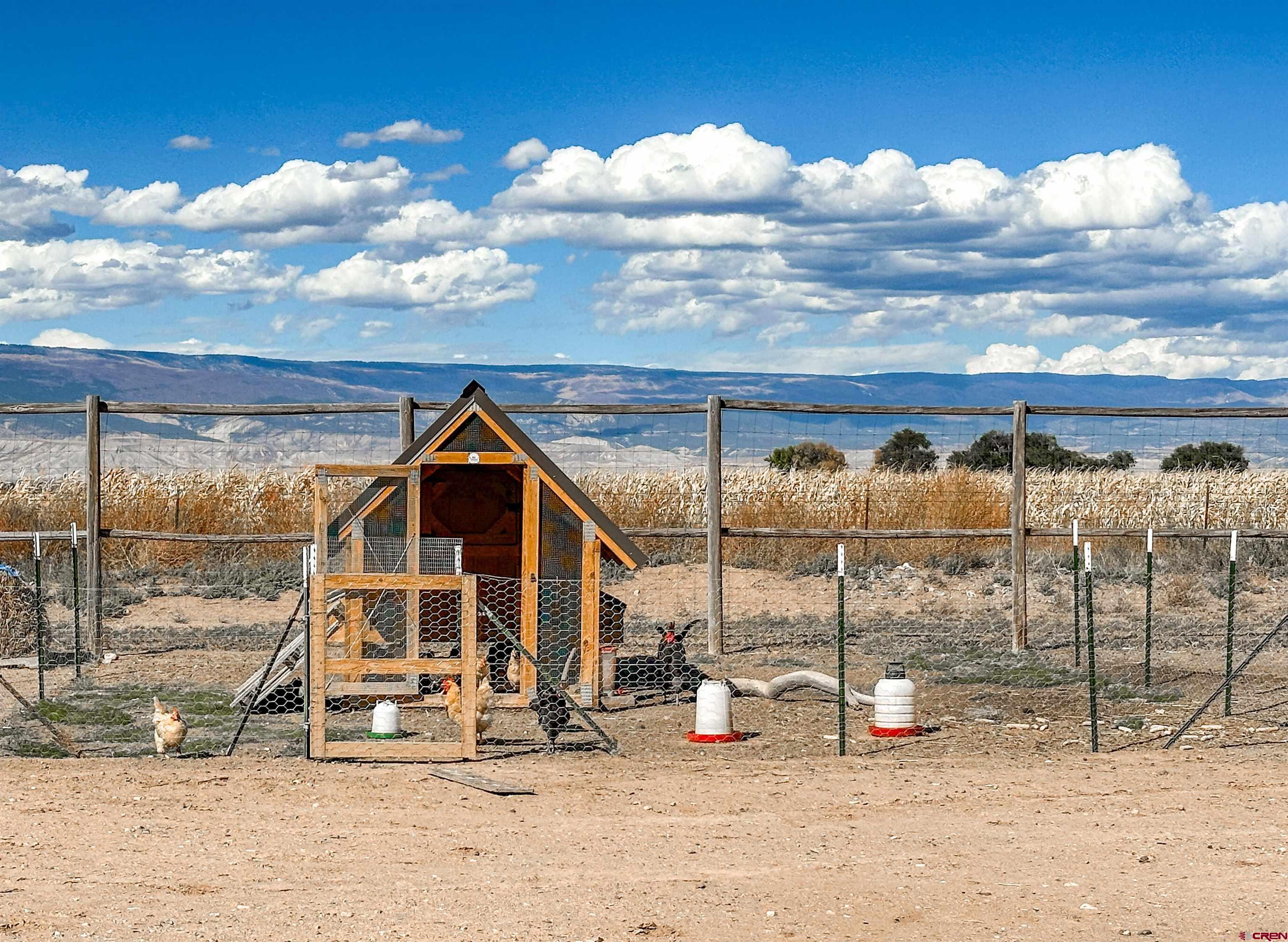 424 Shilo Court Delta, CO 81416 - Photo 42 of 45 a view of a backyard