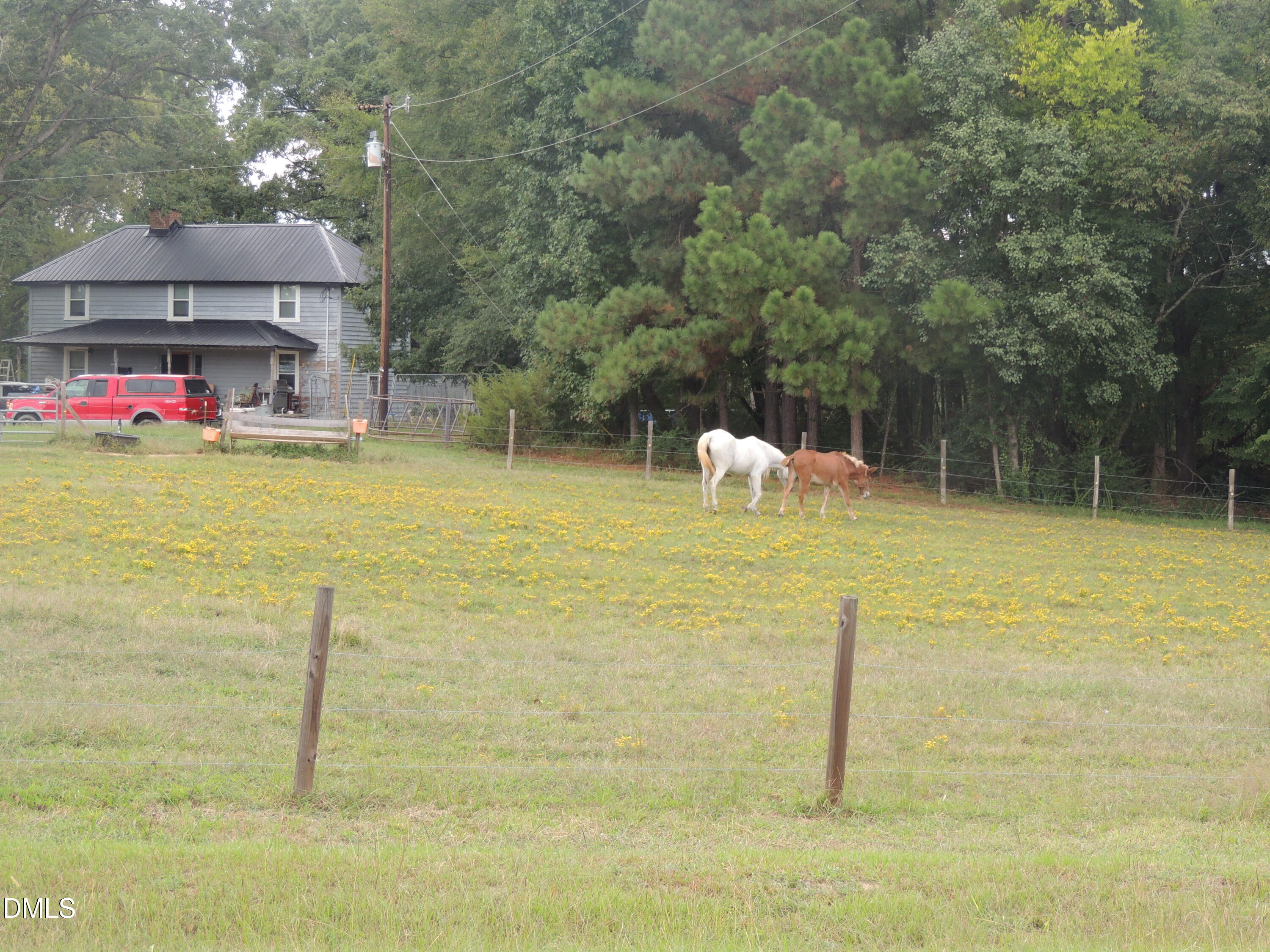 1353 Beasley Road Louisburg, NC 27549 - Photo 3 of 10 View of home to the west of the lot.