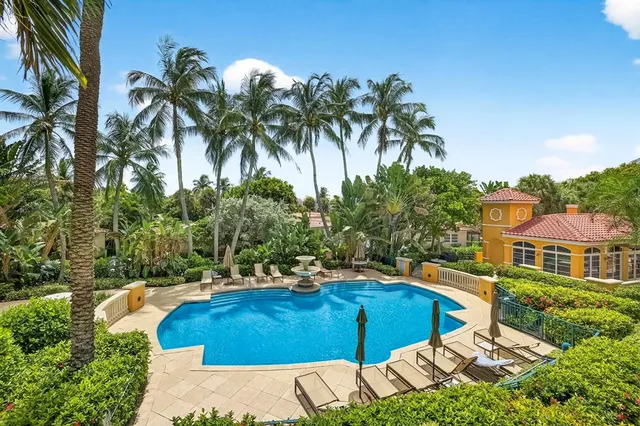 a view of a yard and palm trees