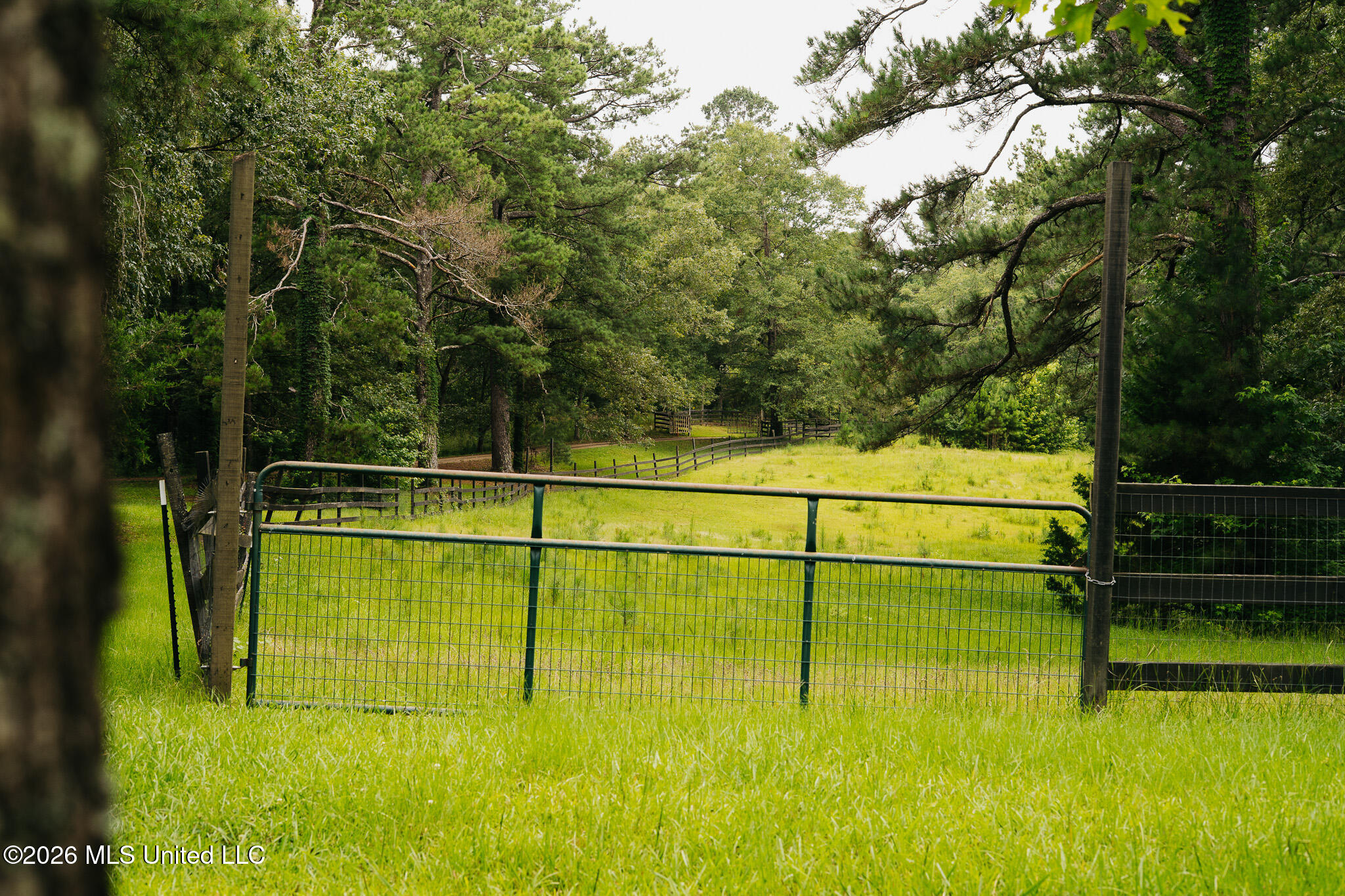 2139 Warren Hood Road Hermanville, MS 39086 - Photo 91 of 115 Gate