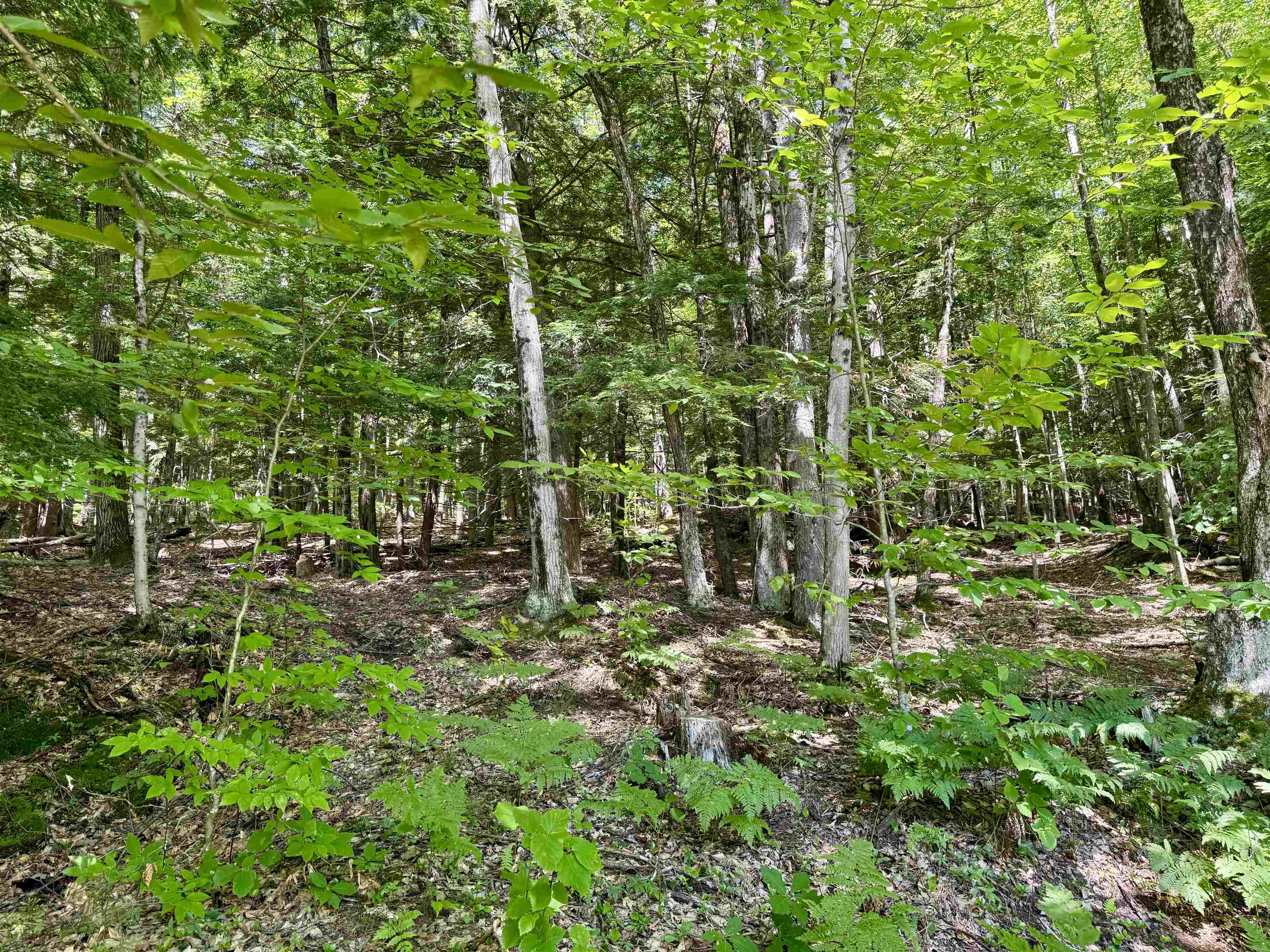175 Sunset Rock Road Lebanon, NH 03766 - Photo 20 of 28
