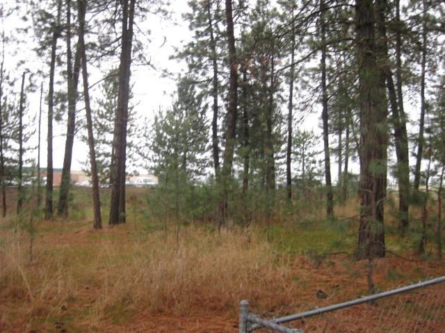 12421 North Ruby Road, Unit 12423 Spokane, WA 99218 - Photo 18 of 19
