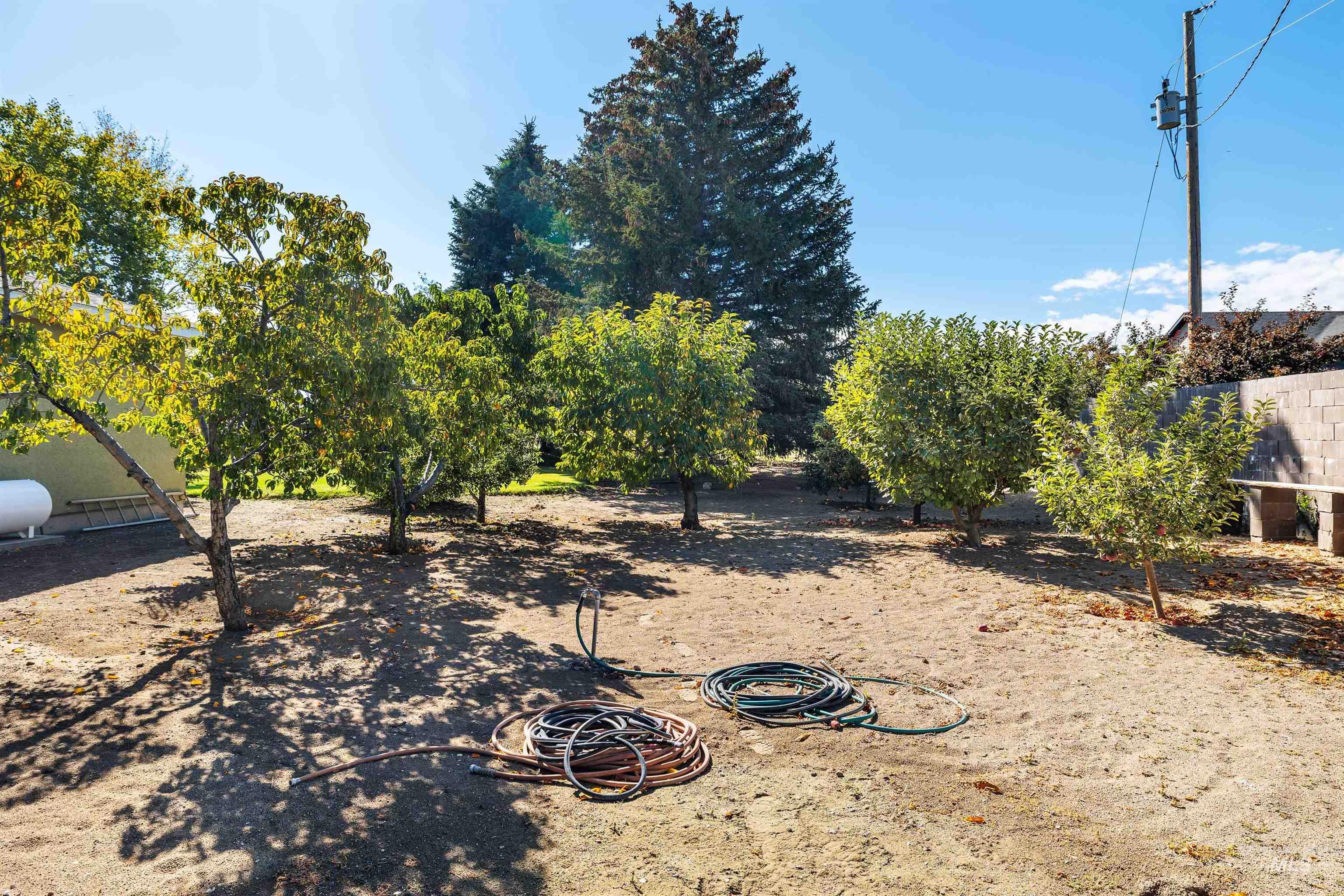 415 West 300 South Heyburn, ID 83336 - Photo 36 of 49 View of yard