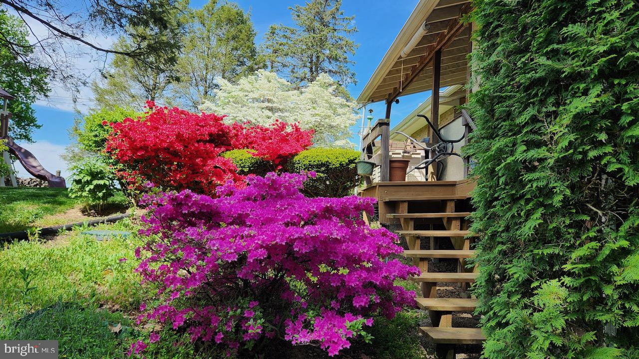 830 North Church Road Reading, PA 19608 - Photo 13 of 57 a view of a house with plants and a flower garden