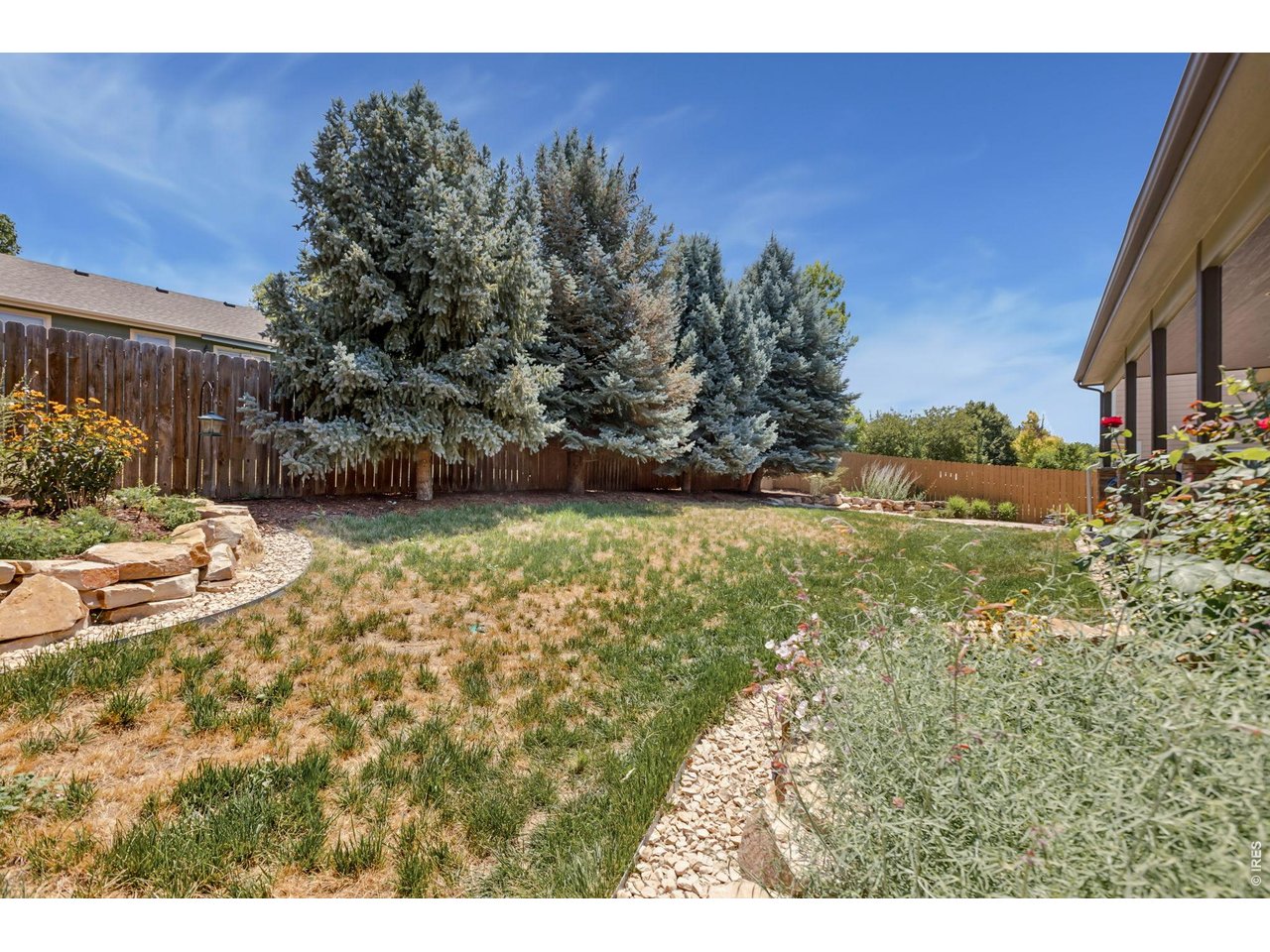 404 Prairie Clover Way Severance, CO 80550 - Photo 38 of 44