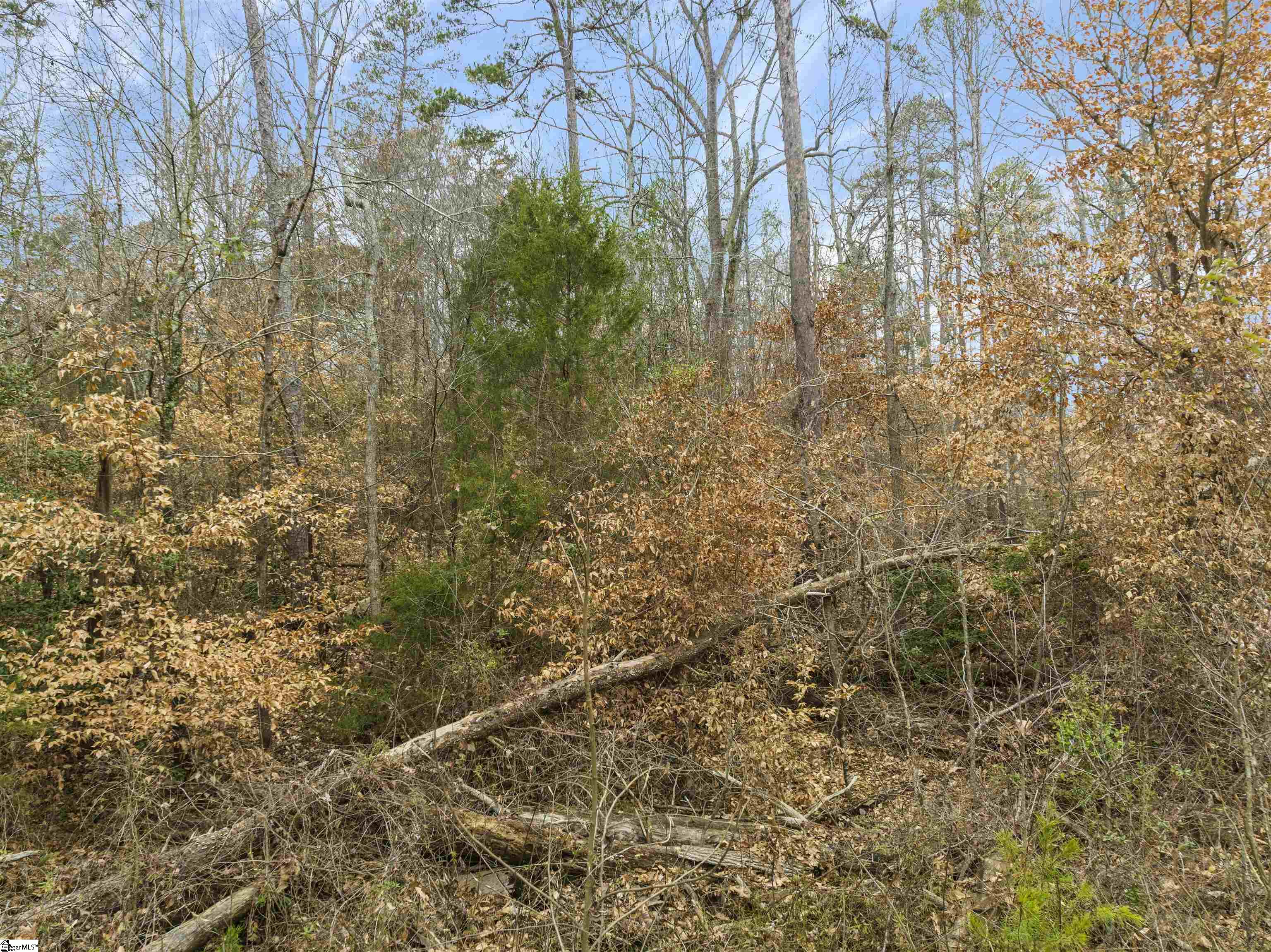 0 Furr Road Piedmont, SC 29673 - Photo 13 of 14 Gallery Image 13