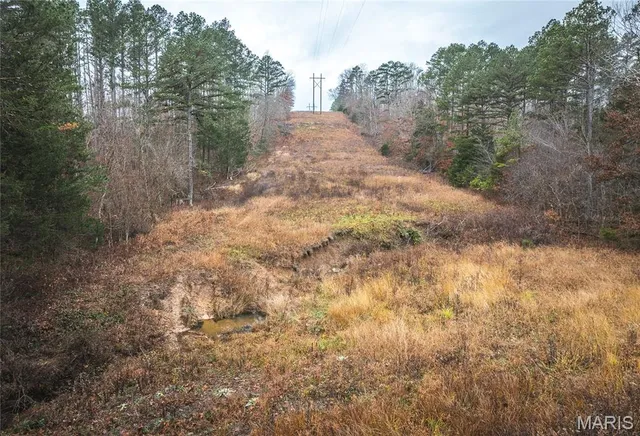 $219,000 | 0 Dalton Drive, Licking, MO 65542