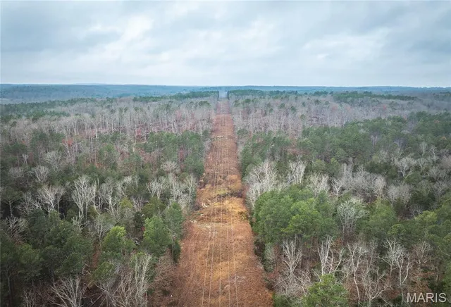 $219,000 | 0 Dalton Drive, Licking, MO 65542