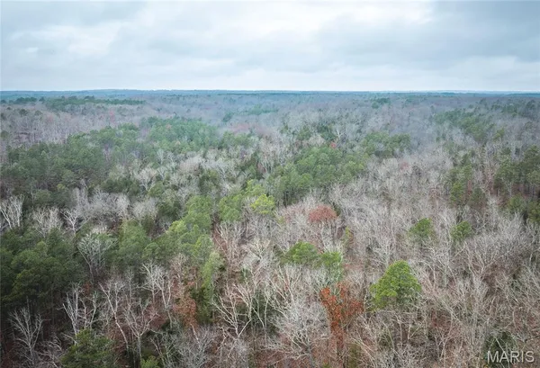 $219,000 | 0 Dalton Drive, Licking, MO 65542