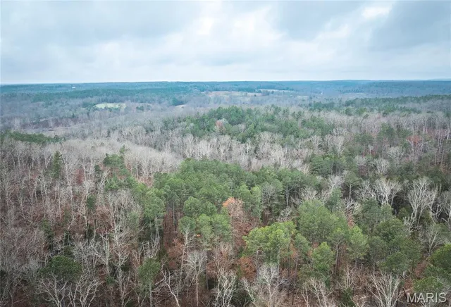 $219,000 | 0 Dalton Drive, Licking, MO 65542