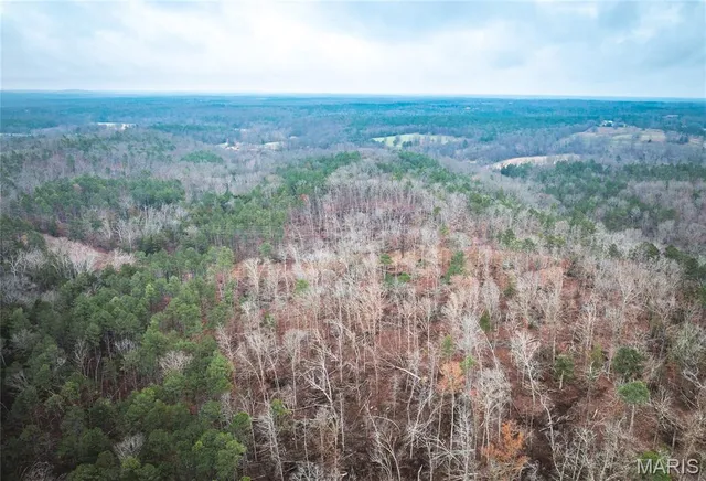 $219,000 | 0 Dalton Drive, Licking, MO 65542