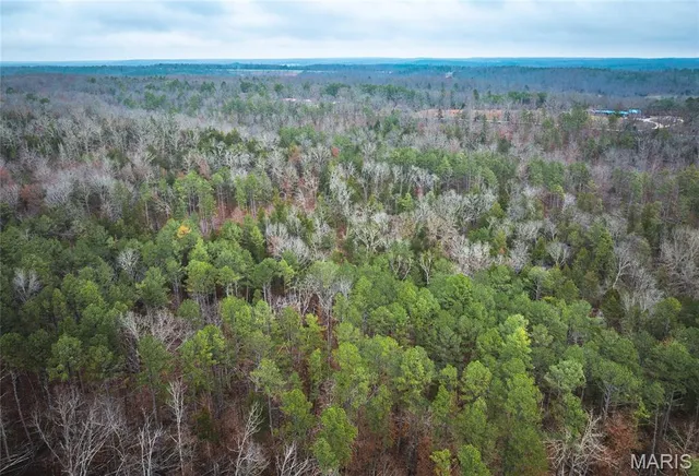 $219,000 | 0 Dalton Drive, Licking, MO 65542