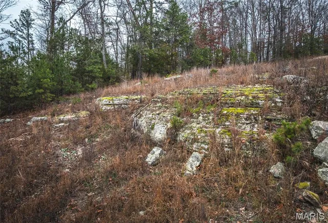 $219,000 | 0 Dalton Drive, Licking, MO 65542