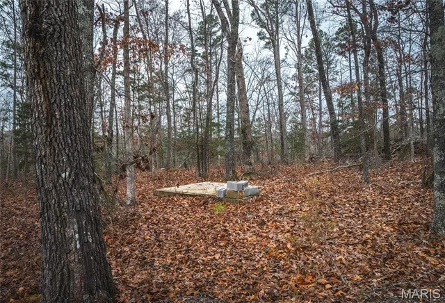 $219,000 | 0 Dalton Drive, Licking, MO 65542