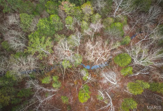 $219,000 | 0 Dalton Drive, Licking, MO 65542