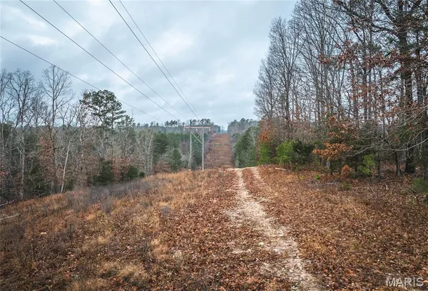 $219,000 | 0 Dalton Drive, Licking, MO 65542