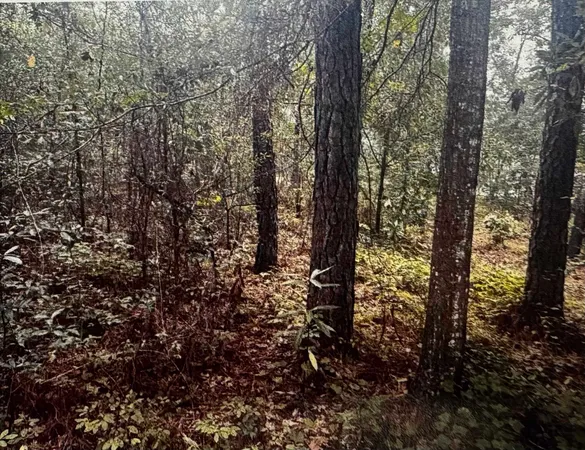 $69,000 | 4563 South Island Road, Georgetown, SC 29440