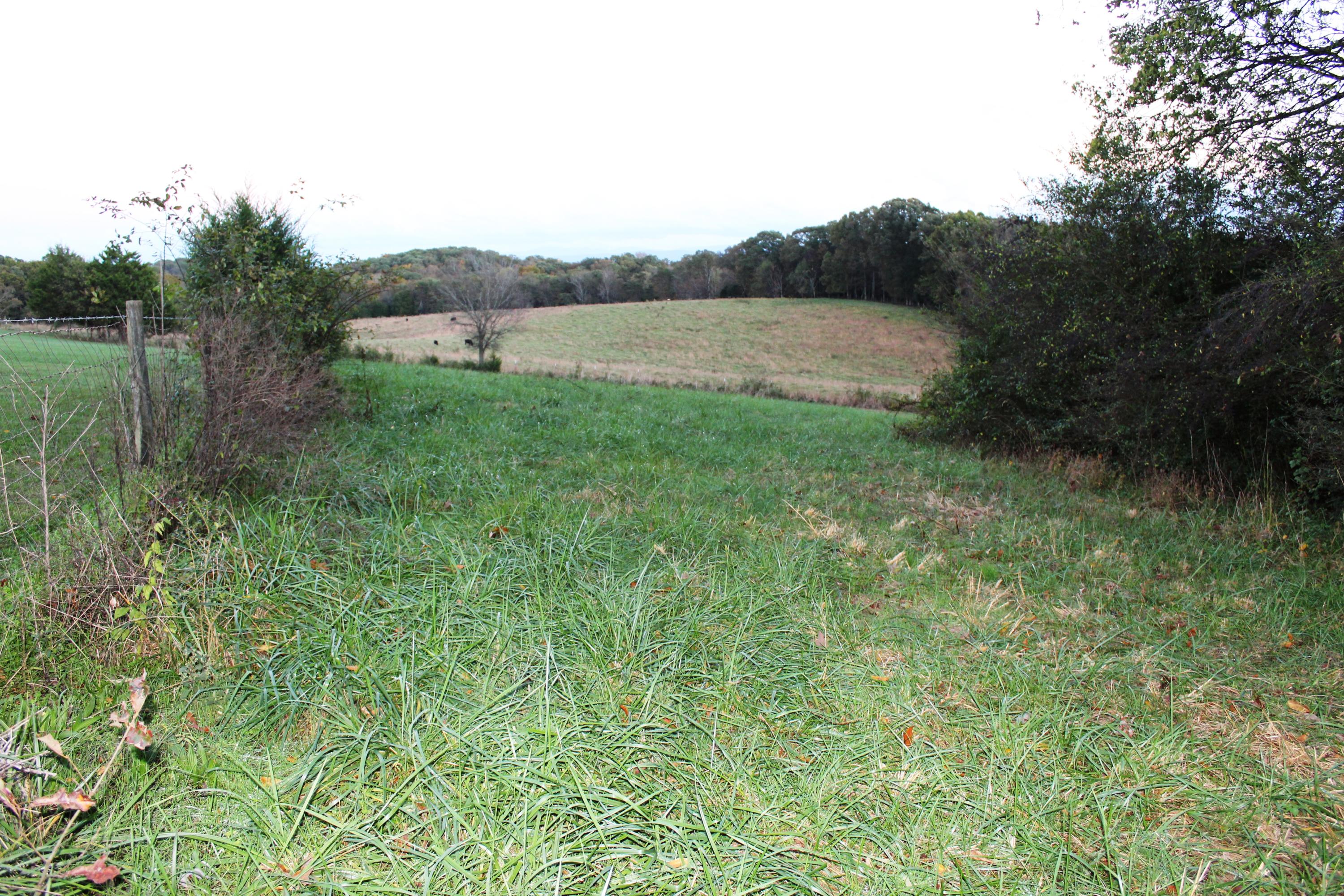 2978 Watkins Road East Loudon, TN 37774 - Photo 1 of 17 Entrance to property