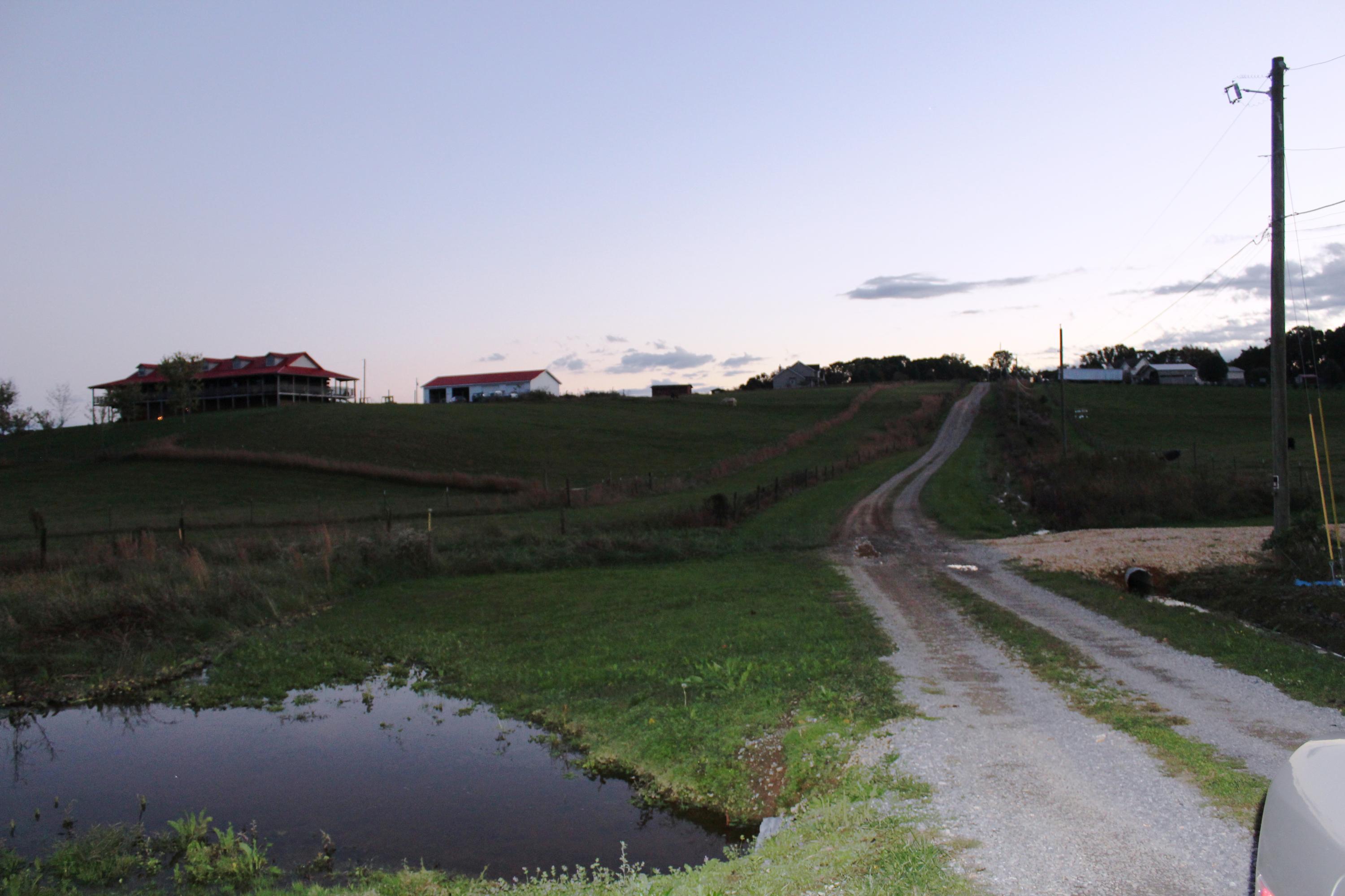 2978 Watkins Road East Loudon, TN 37774 - Photo 3 of 17 Gravel road to property