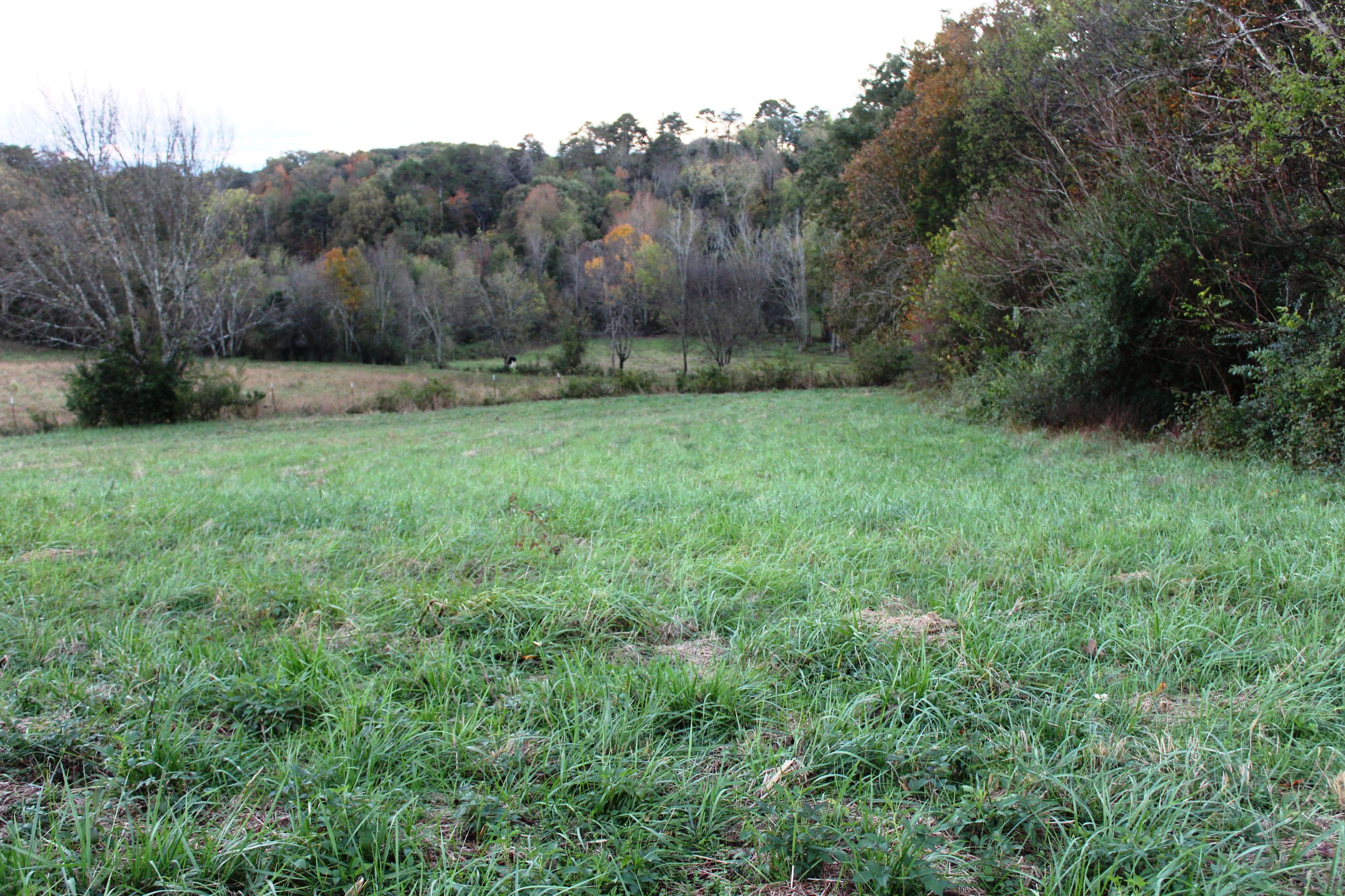 2978 Watkins Road East Loudon, TN 37774 - Photo 6 of 17 IMG_2617