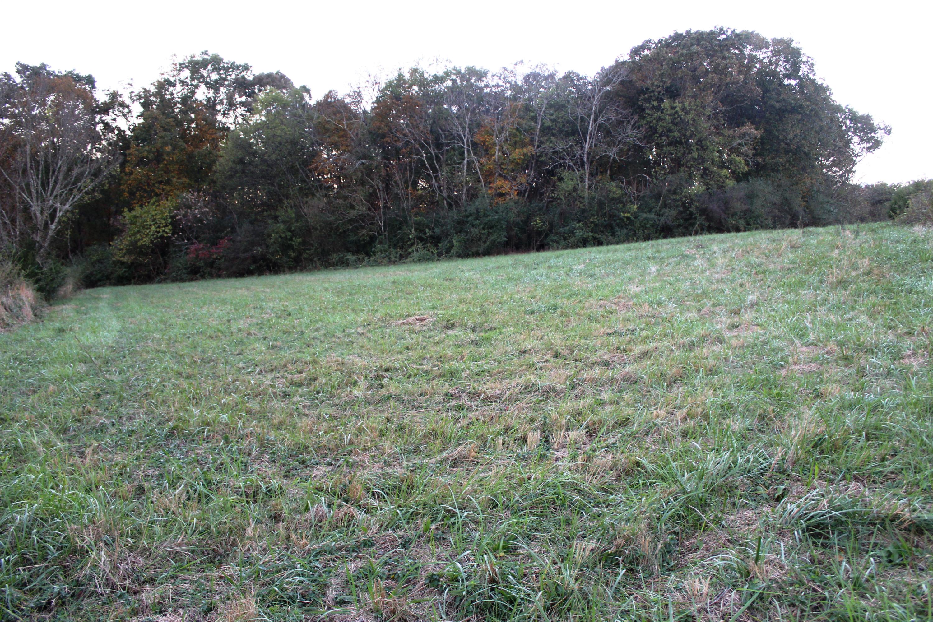 2978 Watkins Road East Loudon, TN 37774 - Photo 7 of 17 IMG_2620