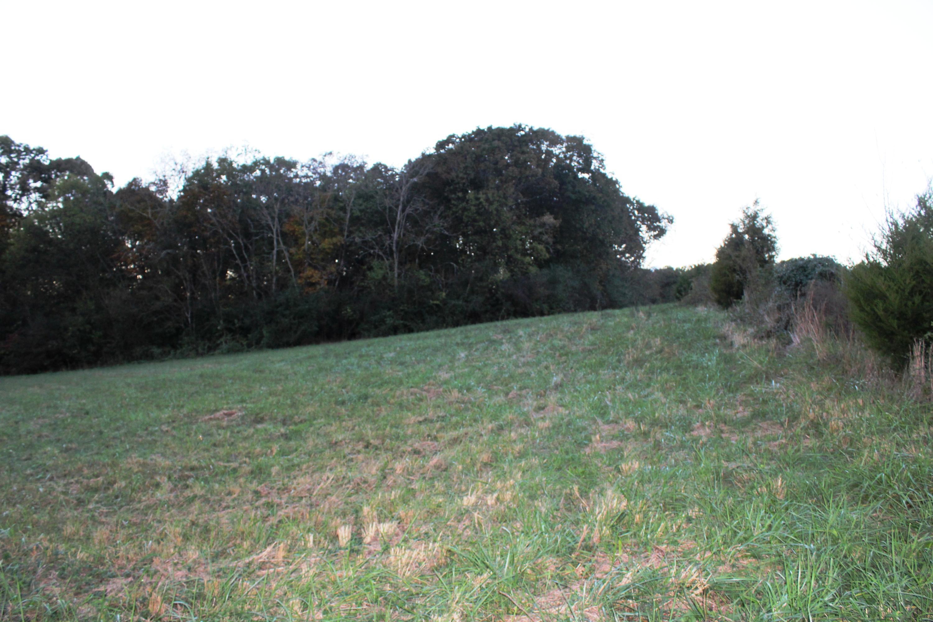 2978 Watkins Road East Loudon, TN 37774 - Photo 8 of 17 IMG_2621
