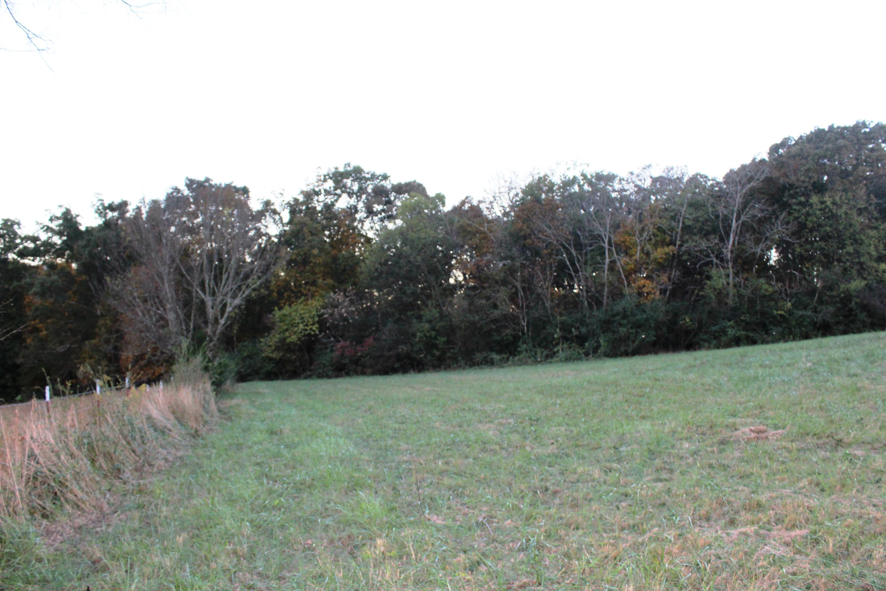 2978 Watkins Road East Loudon, TN 37774 - Photo 9 of 17 IMG_2622