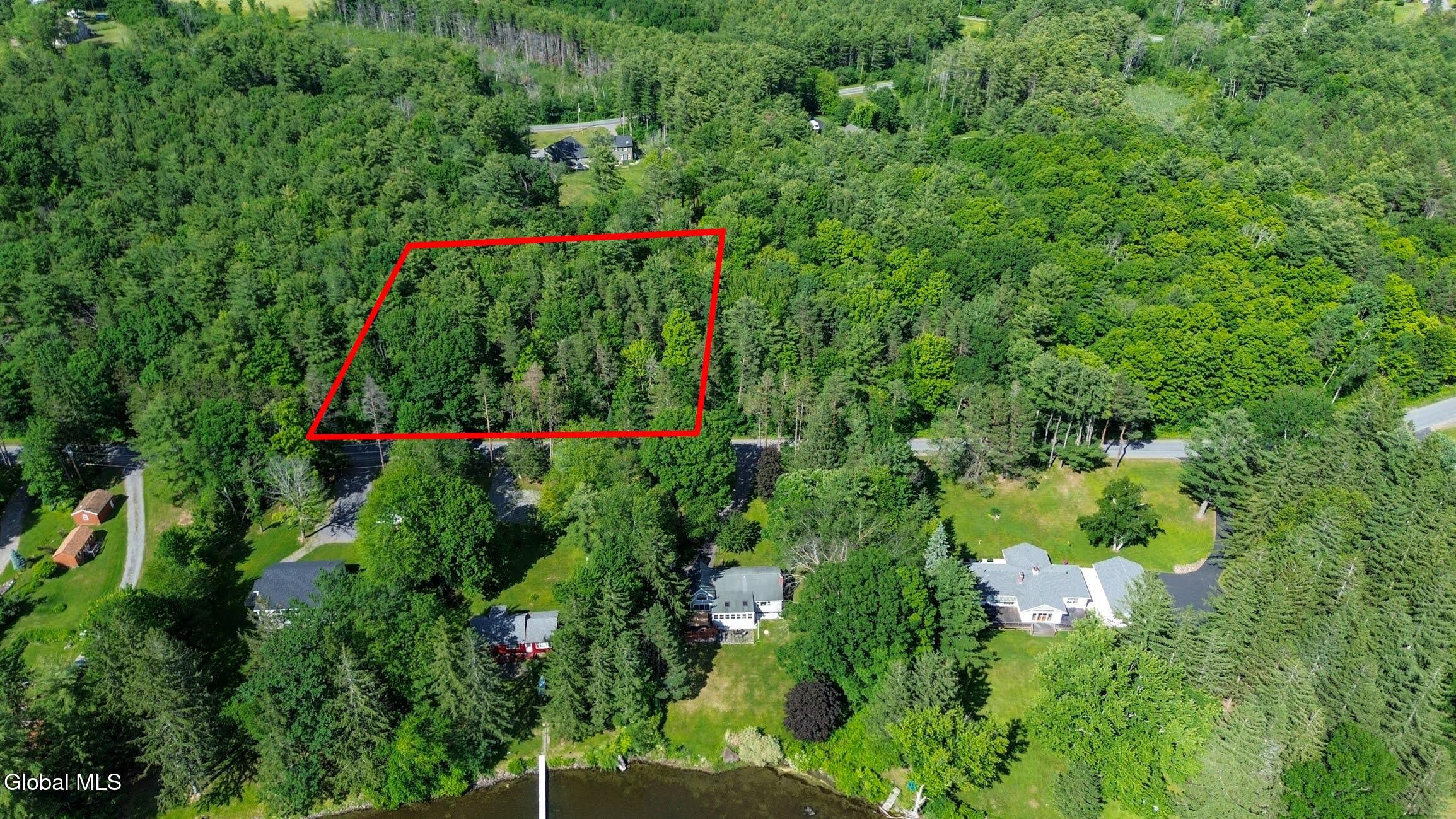 L45 Duane Lake Road Duanesburg, NY 12056 - Photo 6 of 8 1-972 N Mansion drone copy