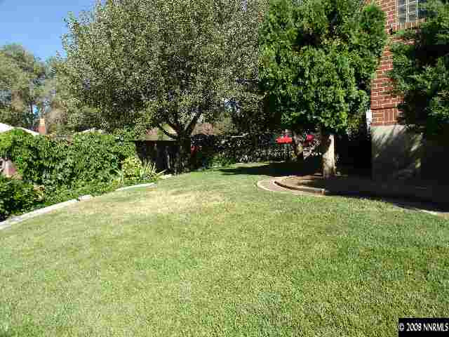 799 Gear Street Reno, NV 89503 - Photo 8 of 9 a view of a backyard with large trees