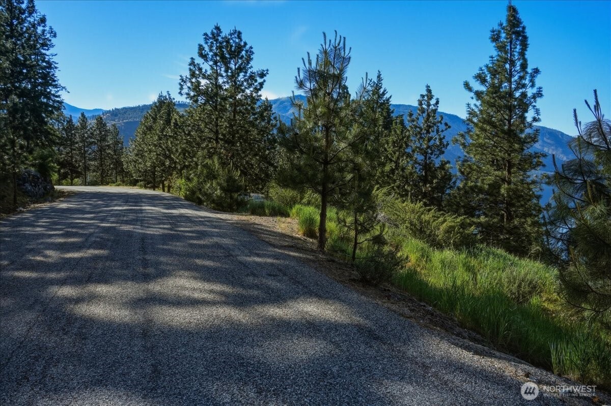7376 Ridgeview Drive Chelan, WA 98816 - Photo 9 of 21 a view of a yard with plants and trees