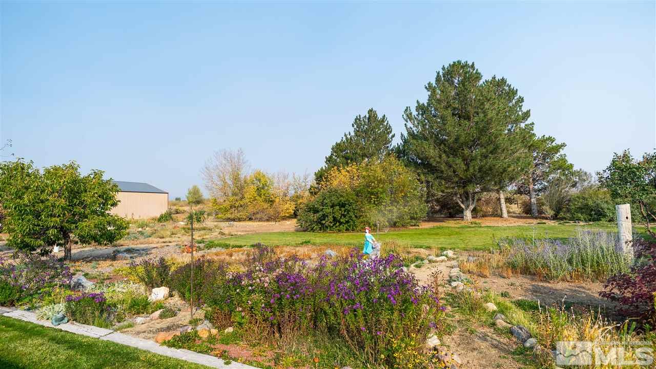 817 Rubio Way Gardnerville, NV 89460 - Photo 4 of 28 a view of a big yard with potted plants and large trees