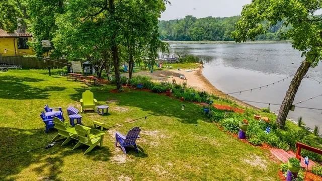 a view of a garden with a bench in the garden
