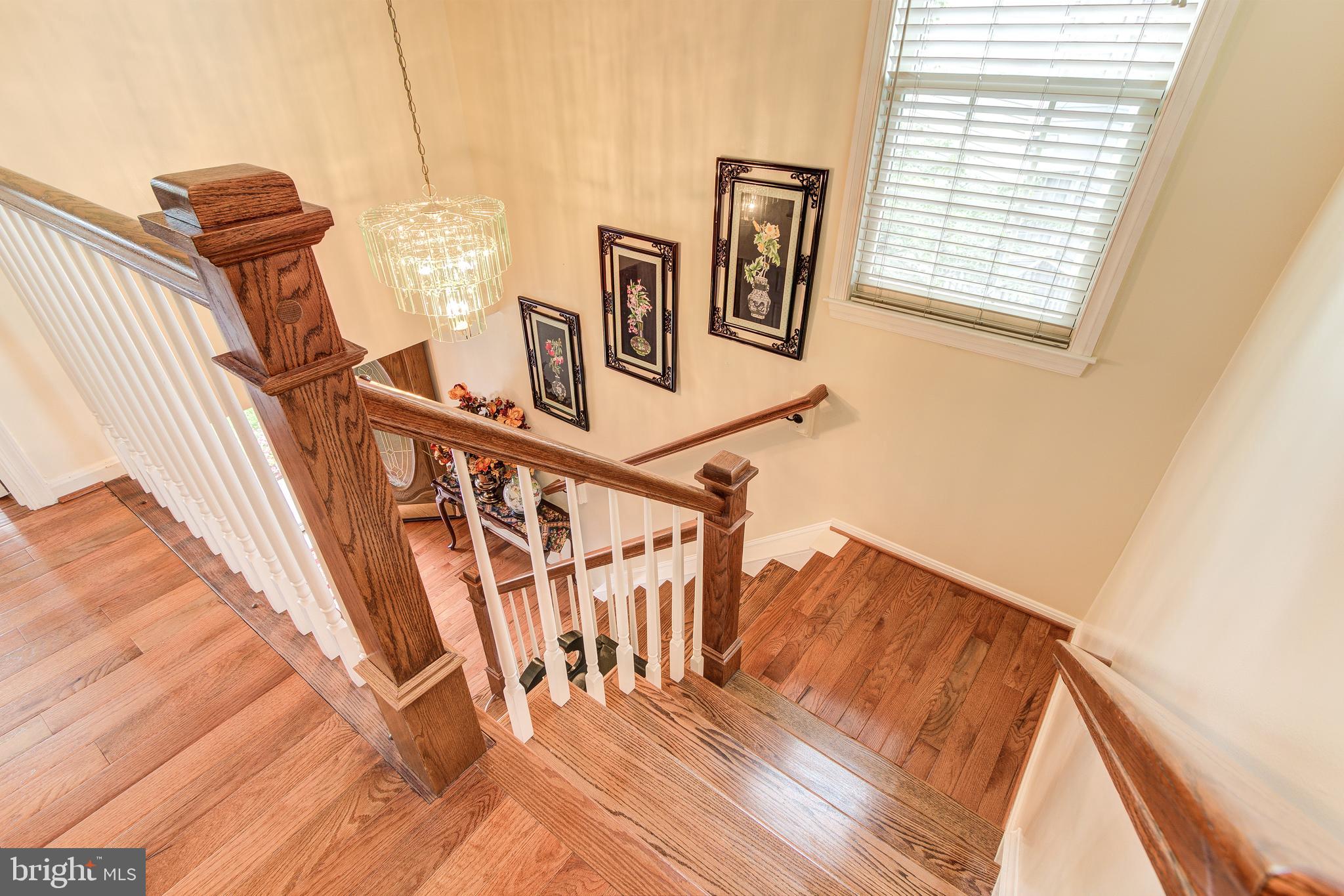 21787 Canfield Terrace Sterling, VA 20164 - Photo 23 of 46 Big window brightens the stairway & hallway